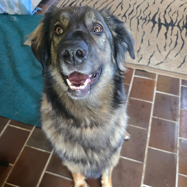 Izdelek brez naslova (10)