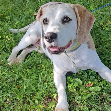 Izdelek brez naslova (4)