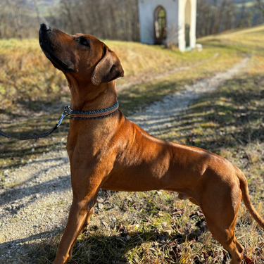 Izdelek brez naslova (7)