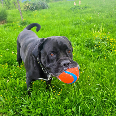 Izdelek brez naslova (9)